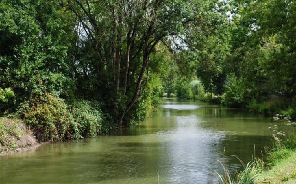 La Poussardiere Saint-Martin-sous-Mouzeuil Bagian luar foto